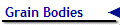 Grain Bodies